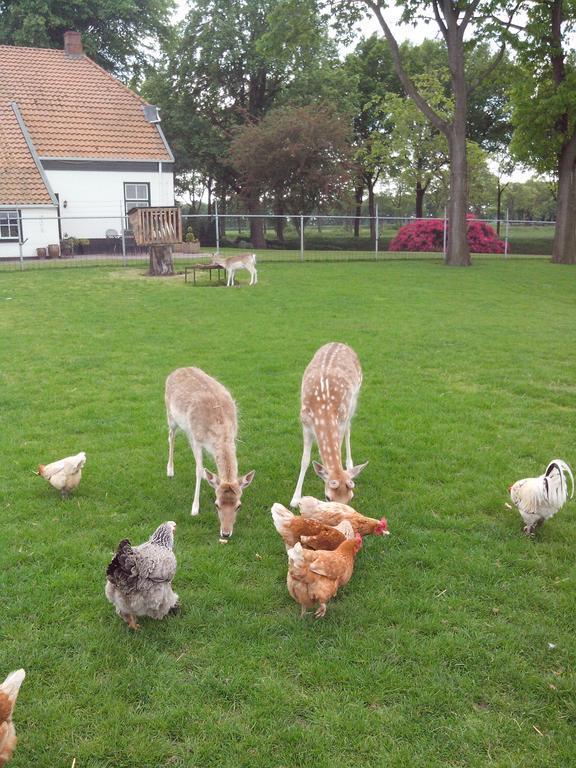 bed en breakfast westerwolde Appartement Sellingen Buitenkant foto